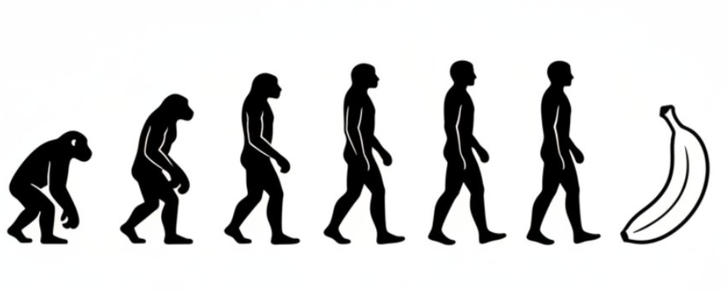 Black and White Evolution Chart